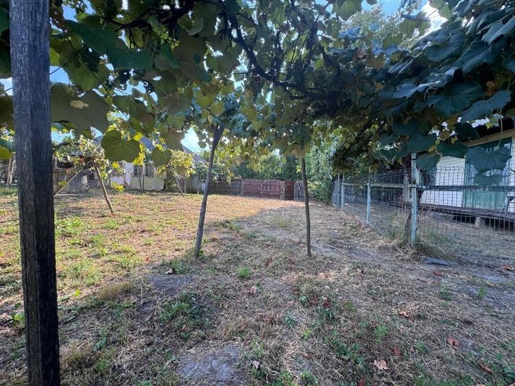 Teren Construcții intravilan de 8600 mp, în Săcuța
