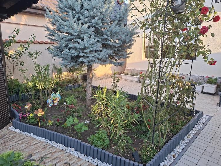 Casă cu Teren 300 Mp în Cumpăna