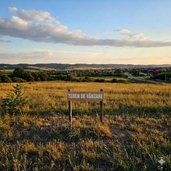 Teren Construcții intravilan de 100000 mp, în Băicoi