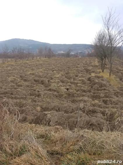 Teren de 1610 mp, în Vulcana-Pandele