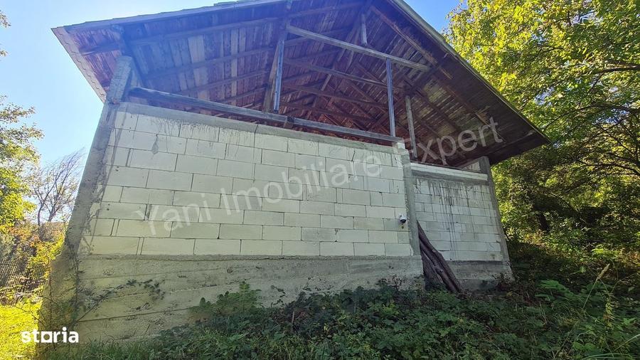 Casă cu 3 camere în Valea Danului