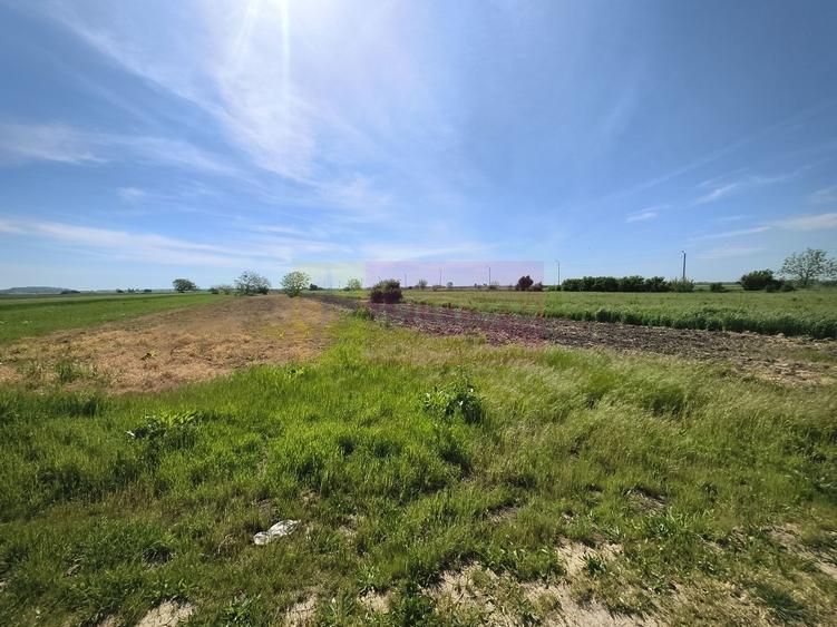 Teren Construcții intravilan de 4770 mp, în Dărăști-Ilfov