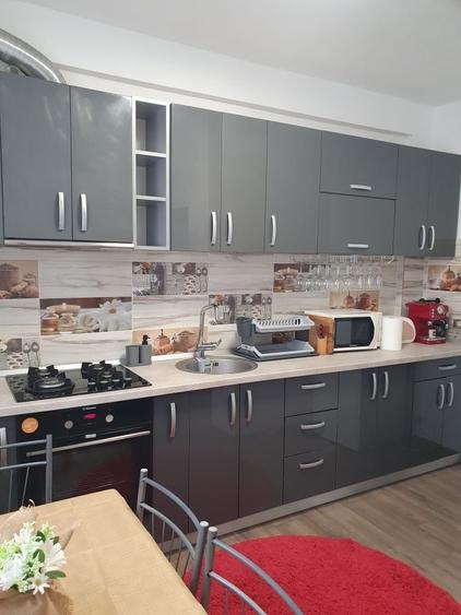 Apartament cu 2 camere decomandat în Roșu