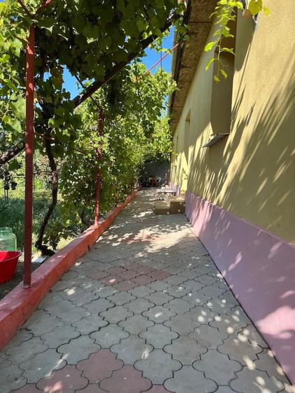 Casă cu 3 camere cu Teren 1759 Mp în Poarta Albă