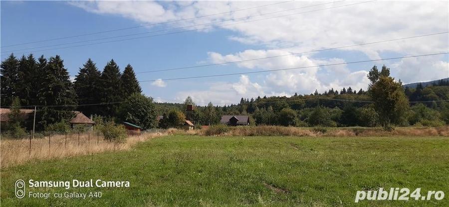 Teren de 700 mp, în Sâmbăta de Sus