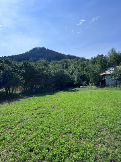 Teren Construcții intravilan de 3026 mp, în Gârcina