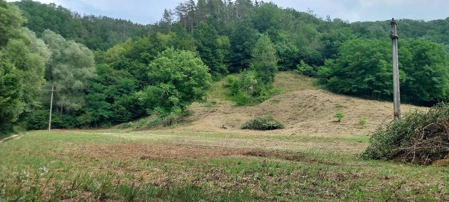Teren de 15000 mp, în Central
