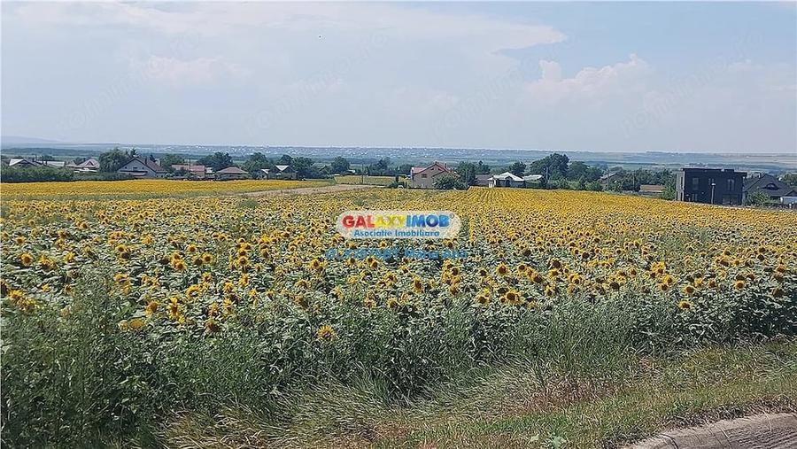 Casă cu Teren 10000 Mp în Central