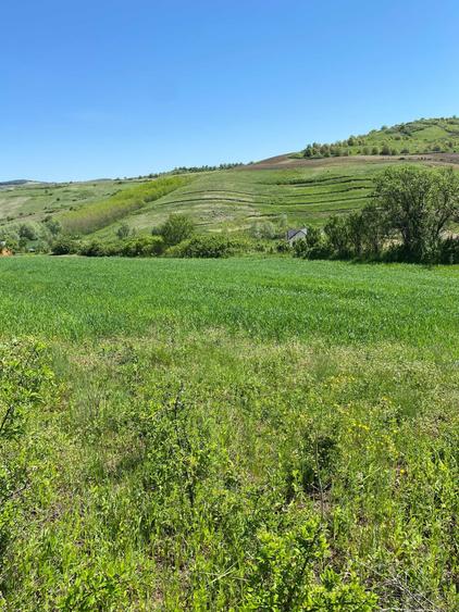 Casă cu 2 camere în Buza