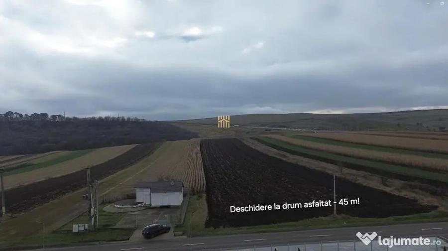 Teren de 14066 mp, în Mihoveni