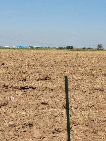 Teren de 4900 mp, în Bâcu