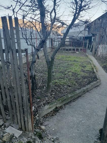 Casă cu 3 camere în Central