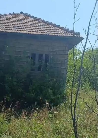 Casă în Central