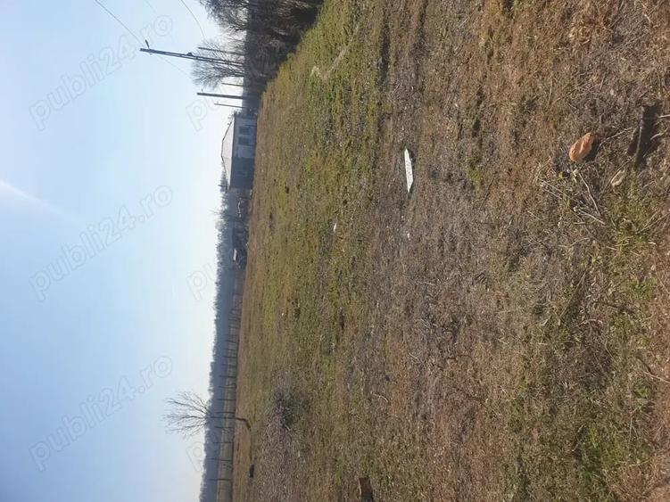Teren de 700 mp, în Bolovani