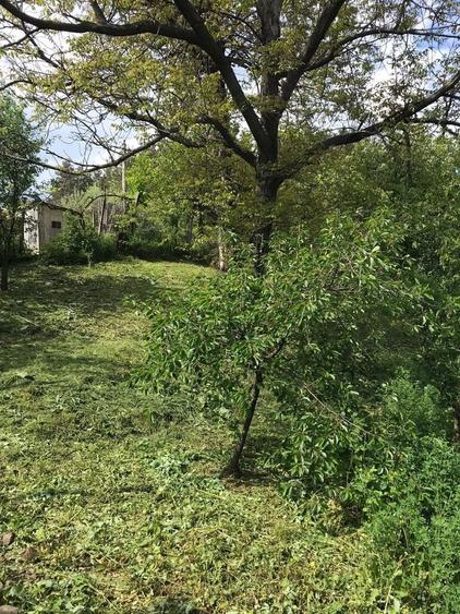 PROPRIETAR Casa la strada principala, teren 1.100 mp, gradina cu pomi fructiferi, Campuri Vrancea. - 16