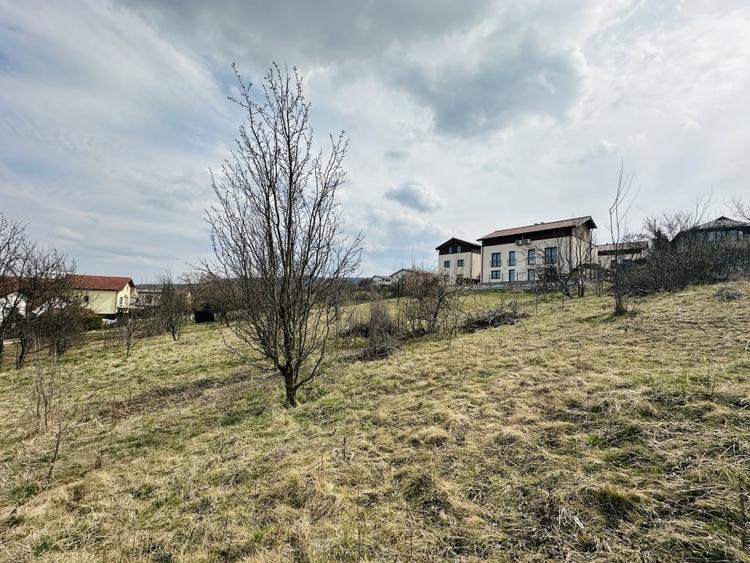 Teren Construcții intravilan de 655 mp, în Europa