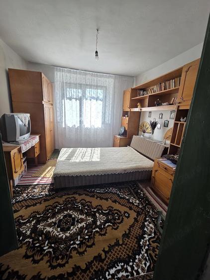 Casă cu Teren 1600 Mp în Viișoara
