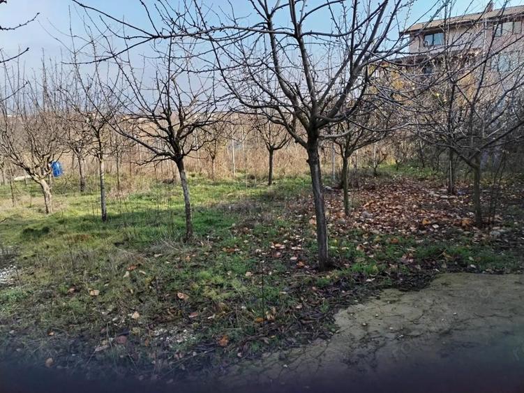 Apartament cu 6 camere în Vidra