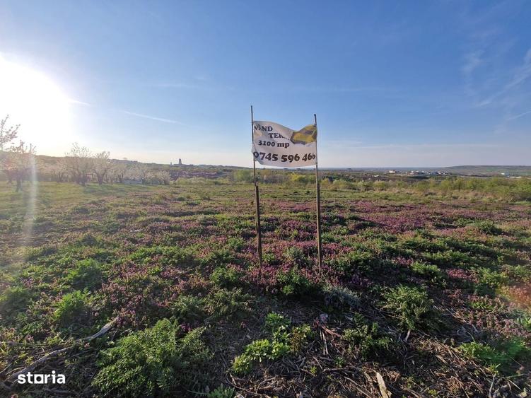 Teren de 3100 mp, în Paleu
