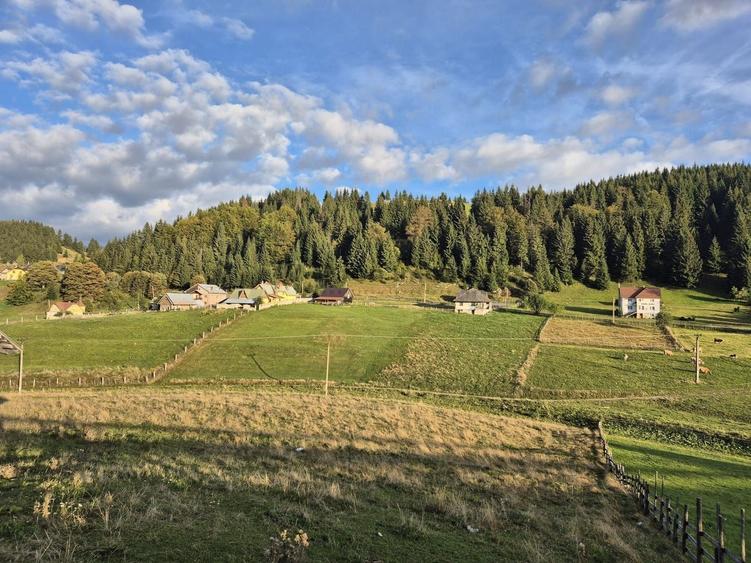 Teren Construcții intravilan de 8583 mp, în Fundata