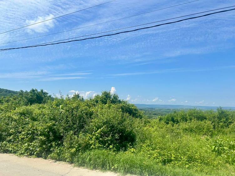 Teren Construcții intravilan de 2779 mp, în Bucium