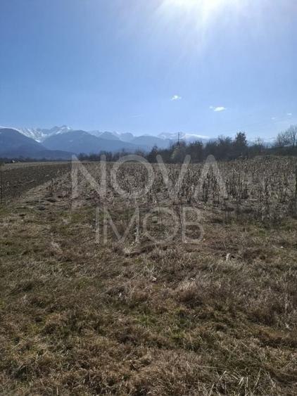 Teren agricol extravilan de 2100 mp, în Arpașu de Sus