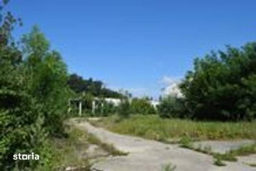 Teren de 50500 mp, în Central