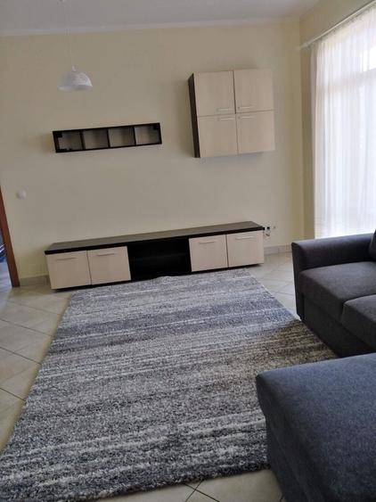 Apartament cu 2 camere decomandat în Viișoara