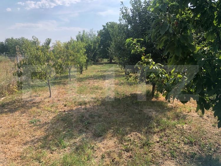 Teren Construcții intravilan de 2900 mp, în Lucian Blaga