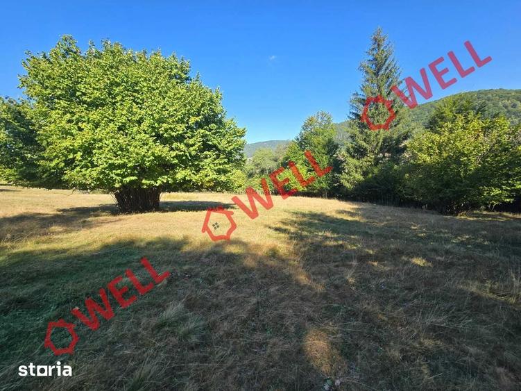 Teren de 7766 mp, în Vama Buzăului