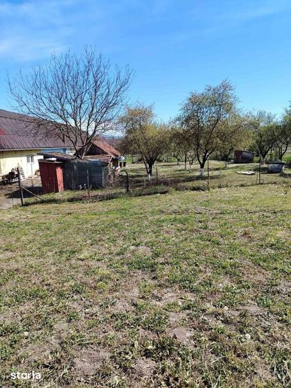 Teren de 6000 mp, în Hereclean