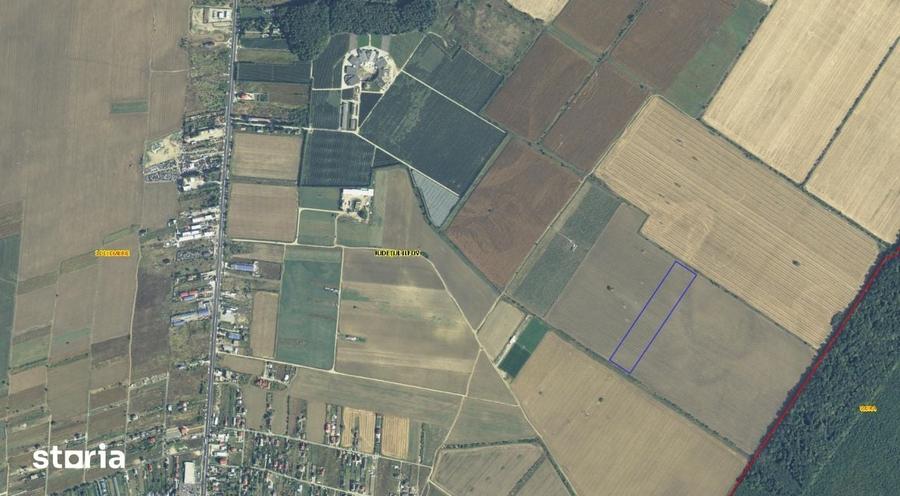 Teren de 35000 mp, în 1 Decembrie