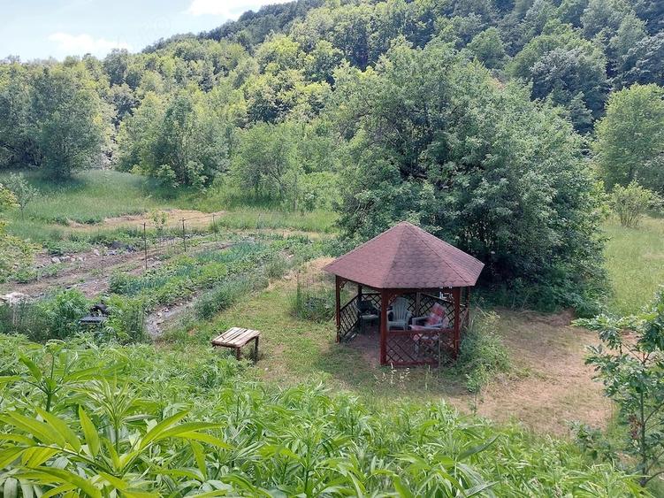 Casă cu Teren 4811 Mp în Peștera (Băița)