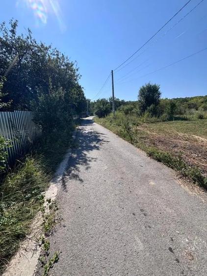Vand teren sat Comsesti Com Tureni 1100(39x29) 53 eur mp - 2