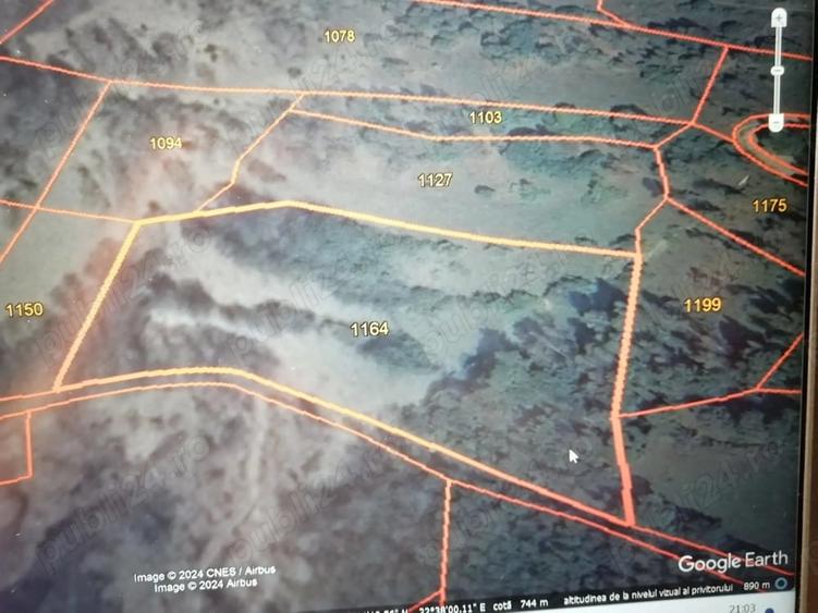 Teren de 7454 mp, în Runcu Mare