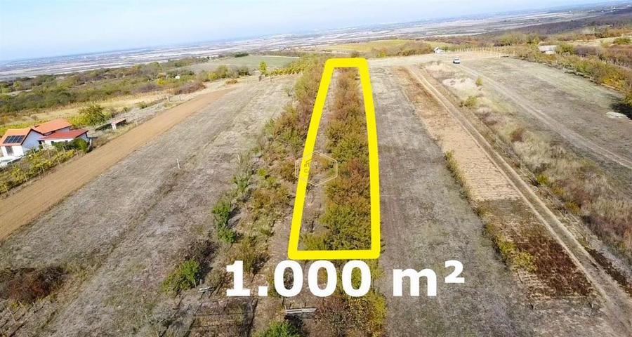 Teren Construcții intravilan de 1000 mp, în Sud