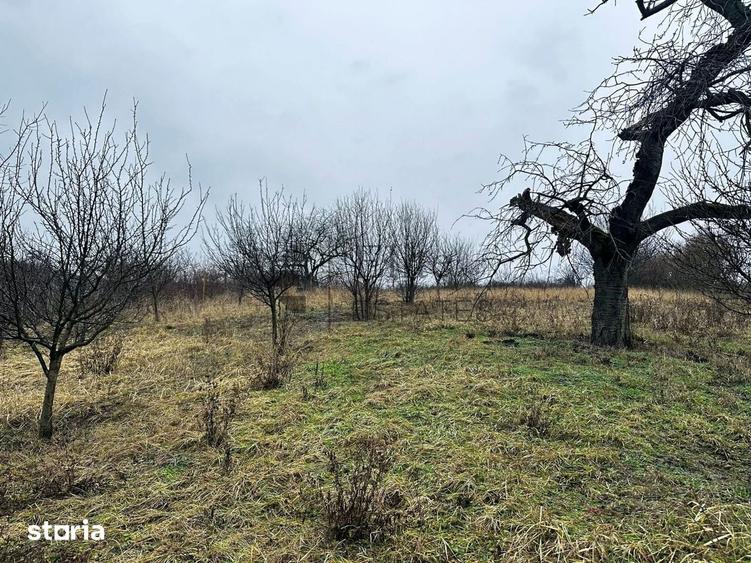 Teren de 1765 mp, în Orașul Nou