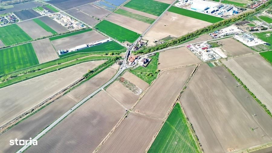 Teren de 126800 mp, în Stupini
