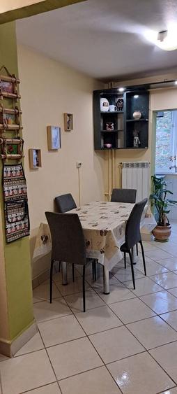 Apartament de inchiriat 2 camere Nufarul - 10