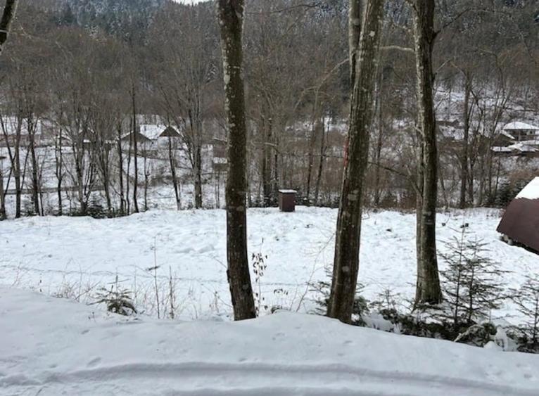 Teren intravilan de 3275 mp, în Tarcău