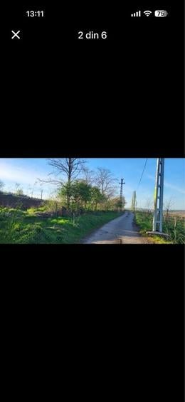 Teren de 3755 mp, în Șorogari