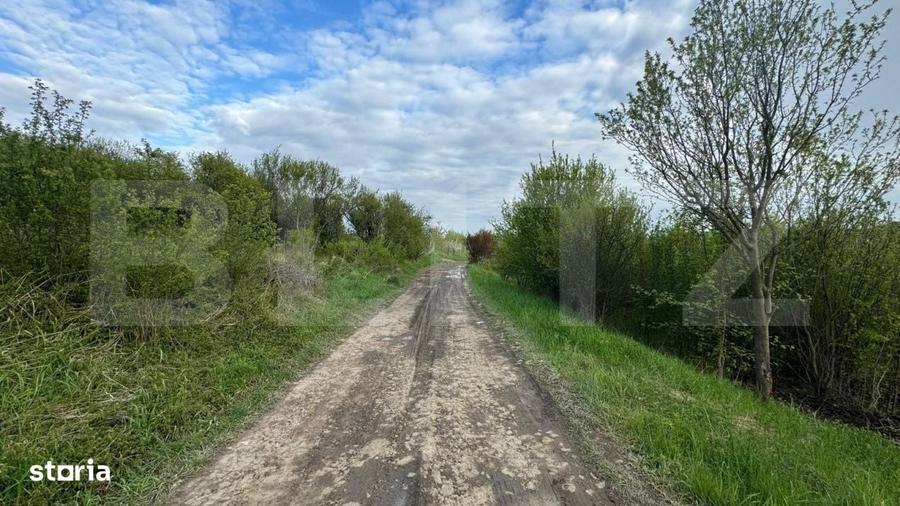 Teren extravilan de vanzare, 2.670 mp, Bistrita - 6