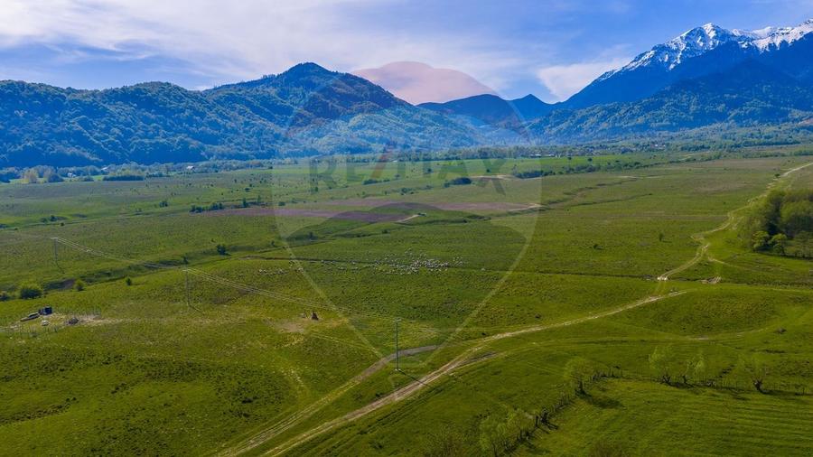 Teren agricol extravilan de 10000 mp, în Glăjărie