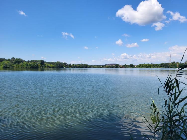Teren agricol intravilan de 7000 mp, în Snagov