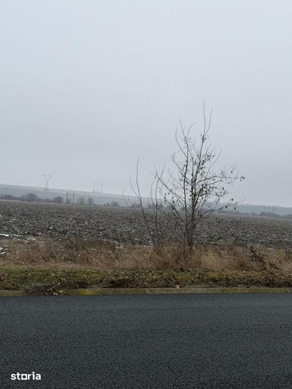 Teren de 30000 mp, în Săucești