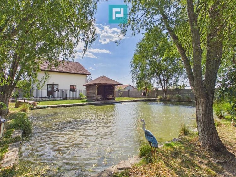 Casă individuală cu 4 camere cu Canalizare în Șiria