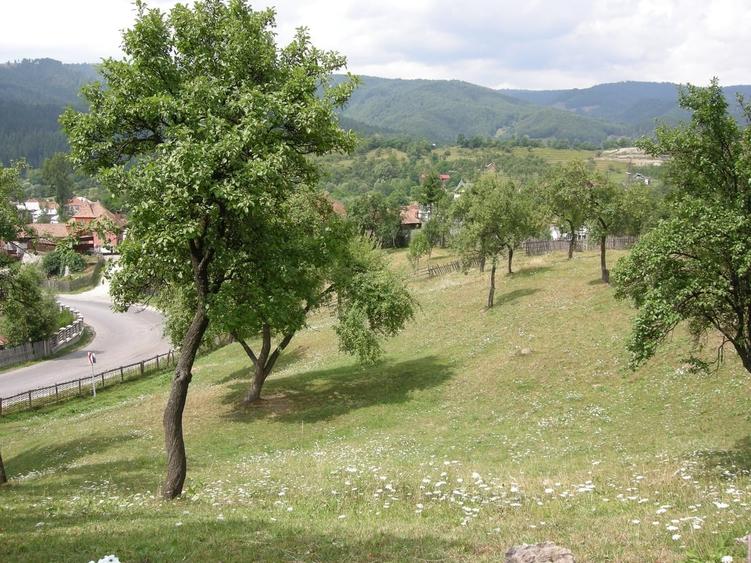 Teren în Central