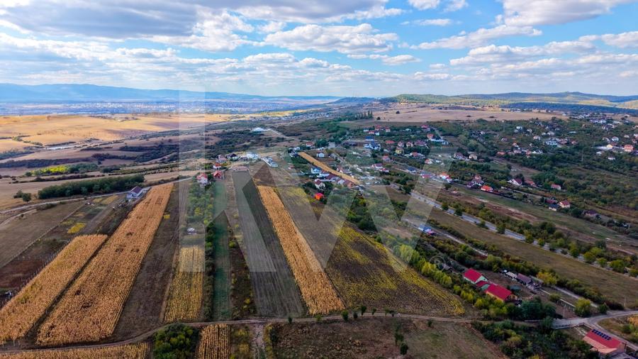 Teren agricol extravilan de 5000 mp, în Daia