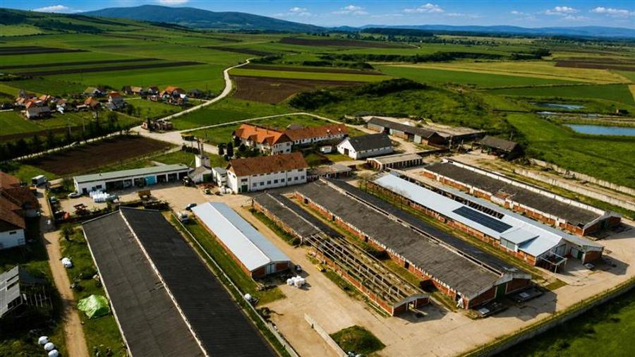 Teren Construcții intravilan de 25391 mp, în Boroșneu Mare