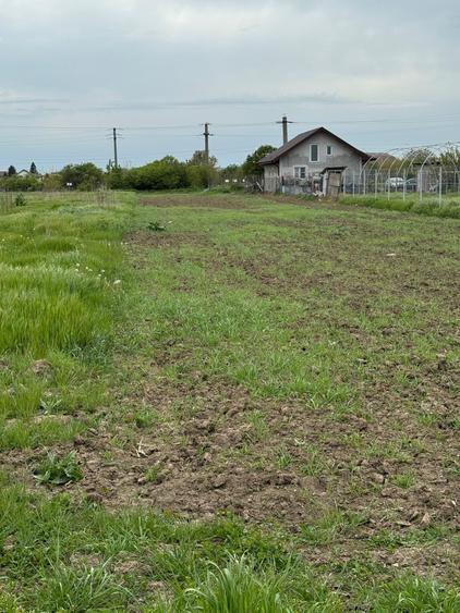 Teren Construcții intravilan de 3500 mp, în 1 Decembrie